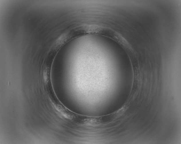 X0000078860074200611201324