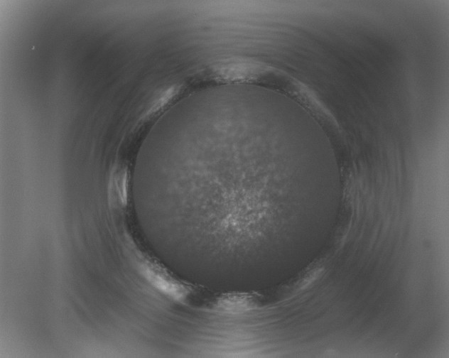 X0000078860076200611201324