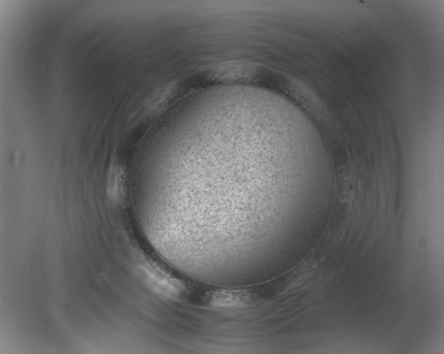 X0000078860077200611201324