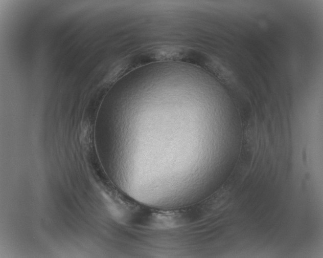 X0000078860079200611201324