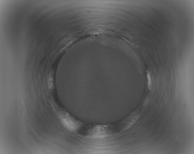 X0000078860080200611201324