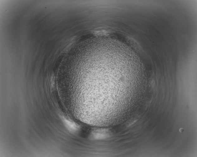 X0000078860081200611201324