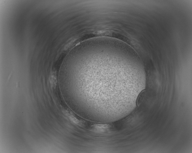 X0000078860085200611201324