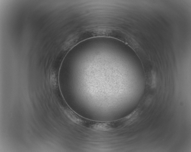 X0000078860086200611201324