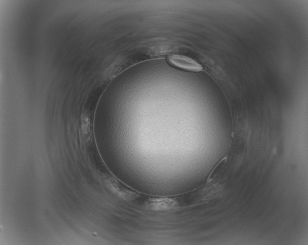 X0000078860087200611201324