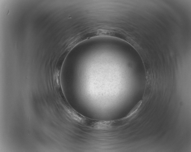 X0000078860094200611201325