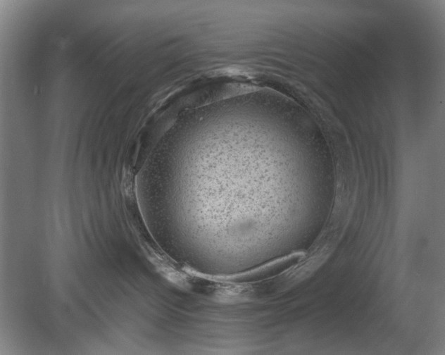 X0000078860096200611201325