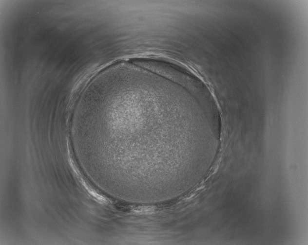 X0000078860097200611201324