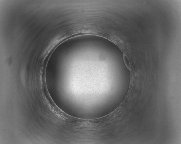 X0000078860098200611201324