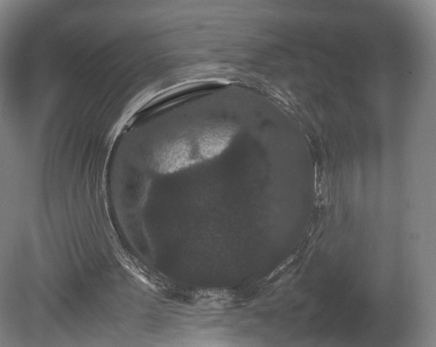 X0000078860099200611201324