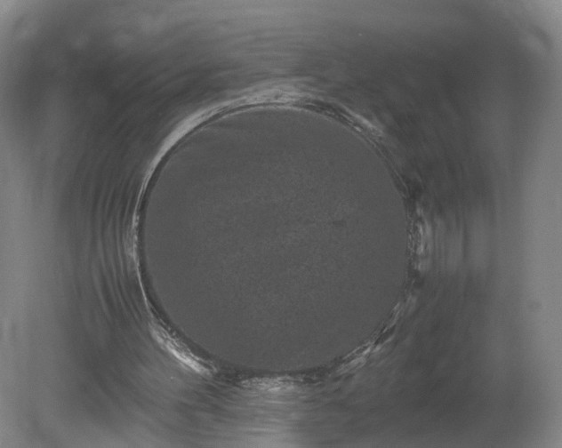 X0000078860100200611201324