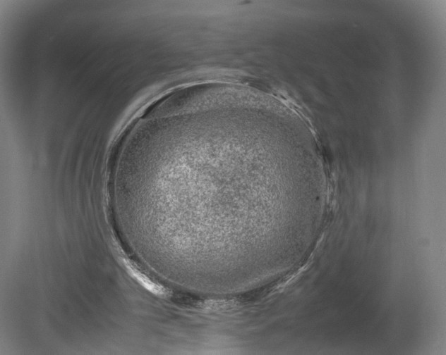 X0000078860101200611201324