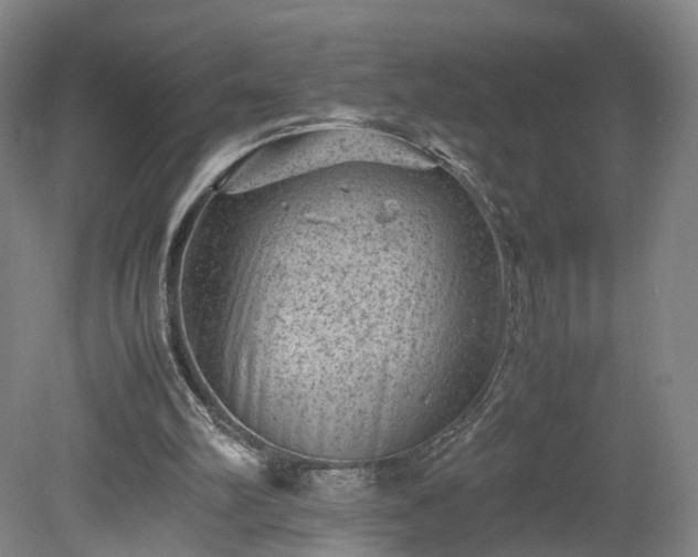 X0000078860102200611201324