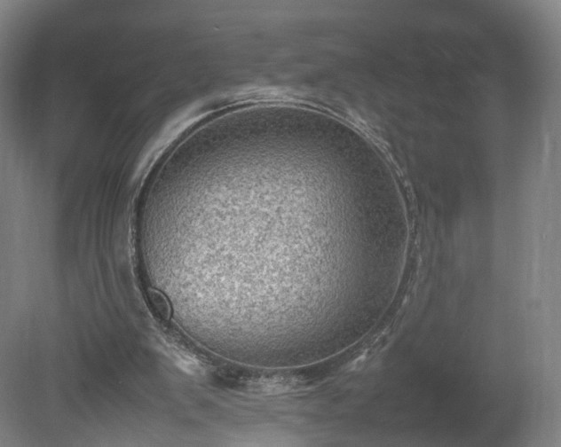 X0000078860103200611201324