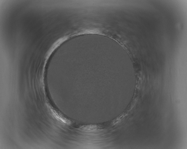 X0000078860104200611201324