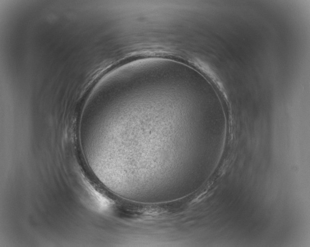 X0000078860105200611201324