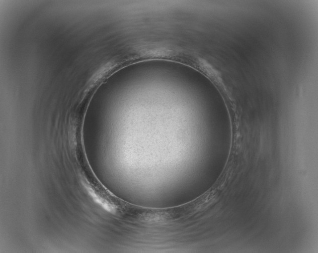 X0000078860106200611201324