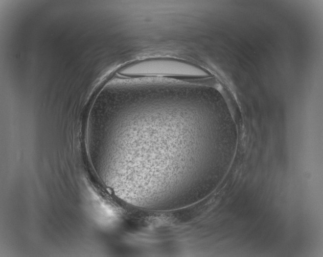 X0000078860107200611201324