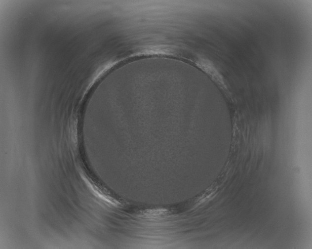 X0000078860108200611201324