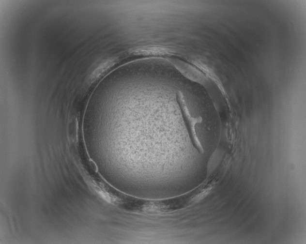 X0000078860109200611201324