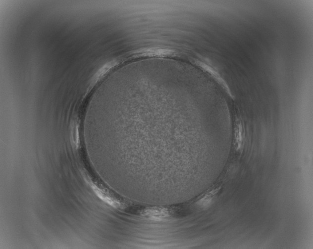 X0000078860110200611201324