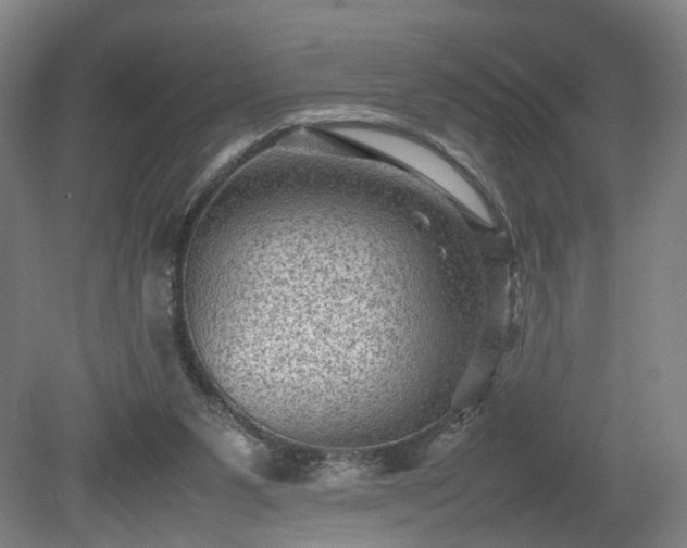 X0000078860111200611201324