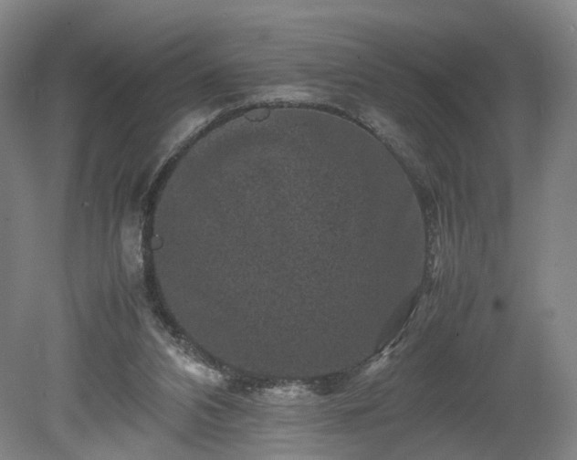 X0000078860112200611201324