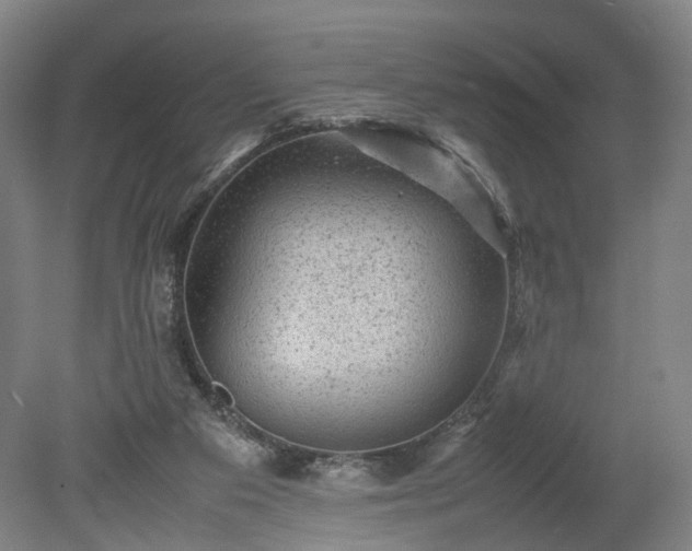 X0000078860113200611201323