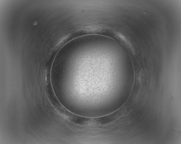 X0000078860115200611201323