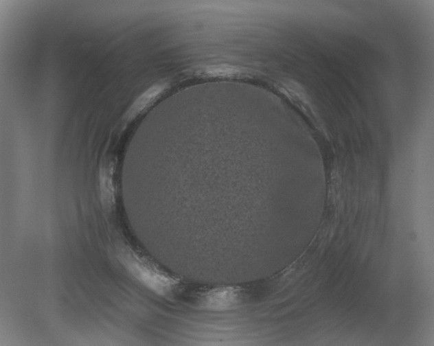 X0000078860116200611201323