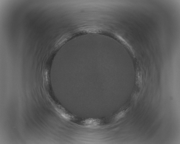 X0000078860117200611201323