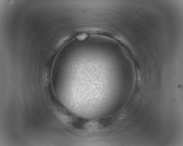 X0000078860119200611201323