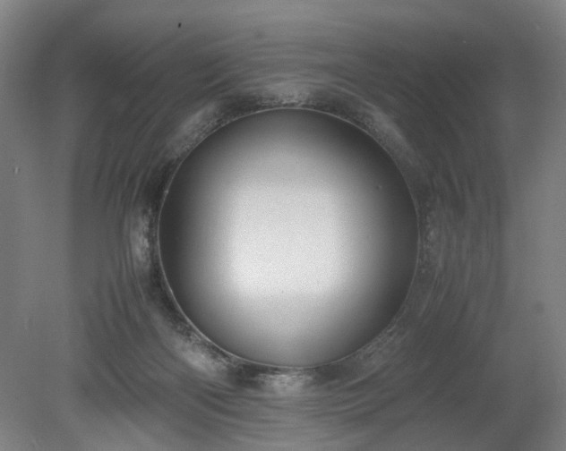 X0000078860122200611201323