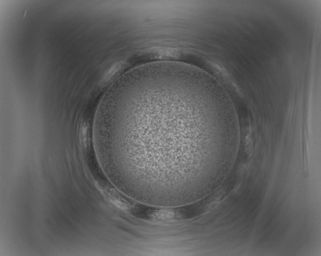 X0000078860123200611201323