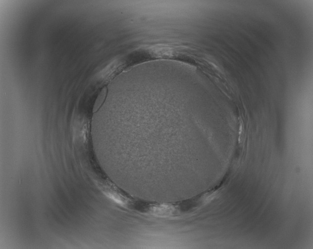 X0000078860125200611201323