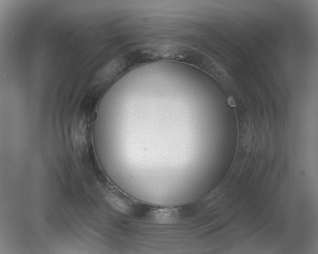 X0000078860126200611201323