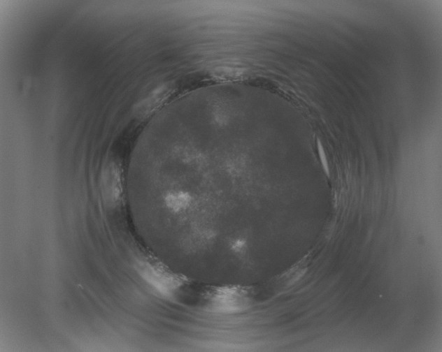 X0000078860130200611201323