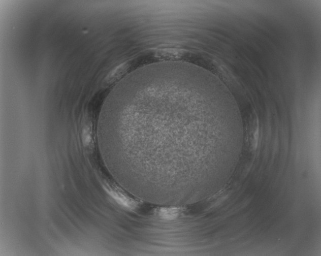 X0000078860134200611201323