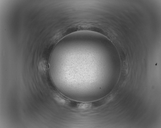 X0000078860135200611201323