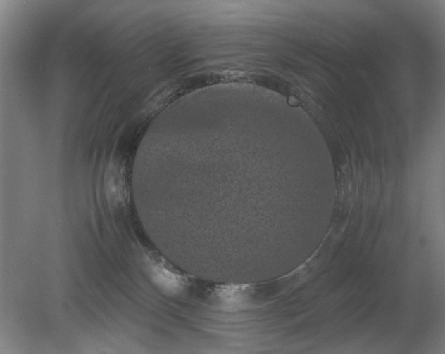 X0000078860136200611201323