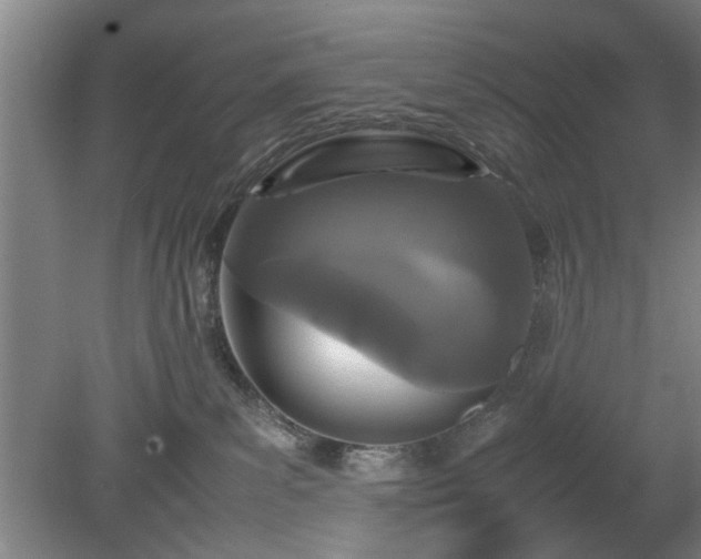 X0000078860139200611201323