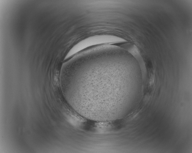 X0000078860141200611201323