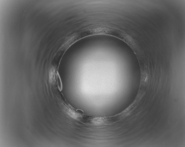 X0000078860142200611201323