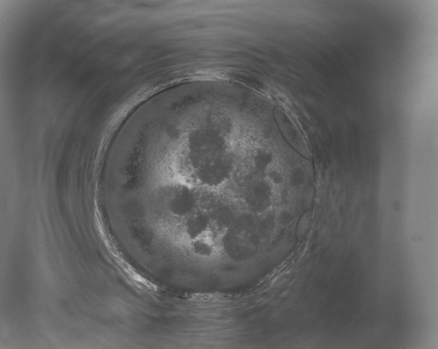 X0000078860145200611201322