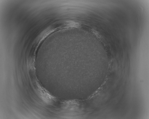 X0000078860146200611201322