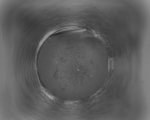 X0000078860147200611201322