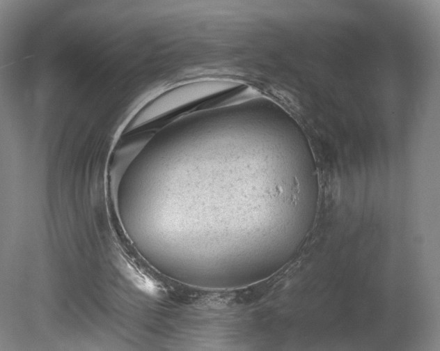 X0000078860148200611201322