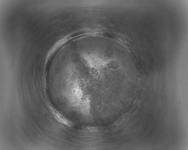 X0000078860149200611201322