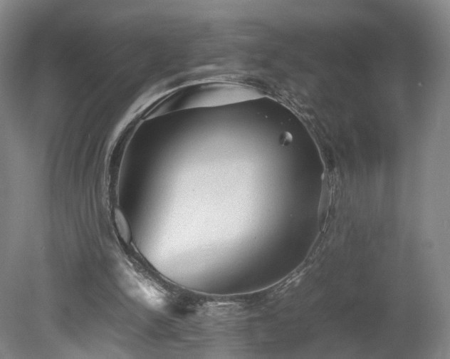 X0000078860150200611201322