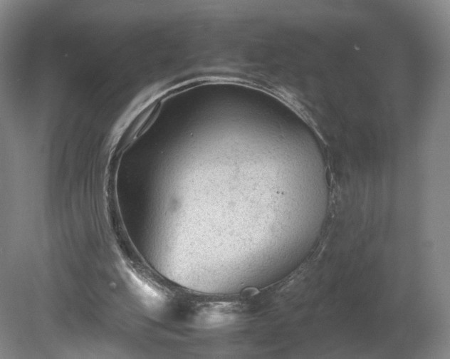 X0000078860151200611201322